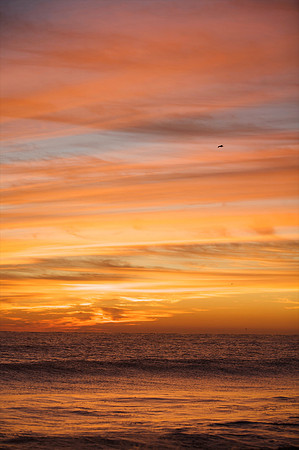 SeaOfColorsIMG_2178-6000.jpg