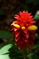 FlamingoGardens-DSC06203-web1600