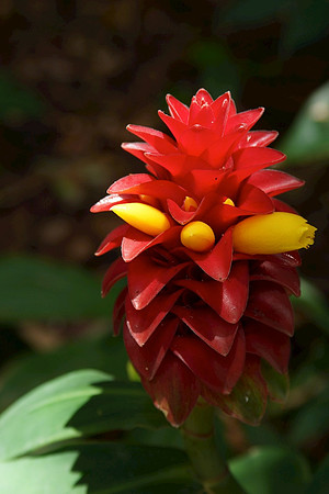 FlamingoGardens-DSC06203-web1600
