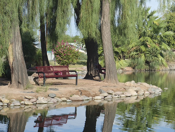 _DSF4630-crop