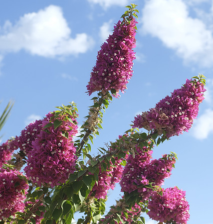 _DSF4670-crop