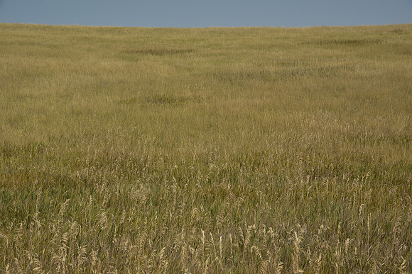 DSC_9330