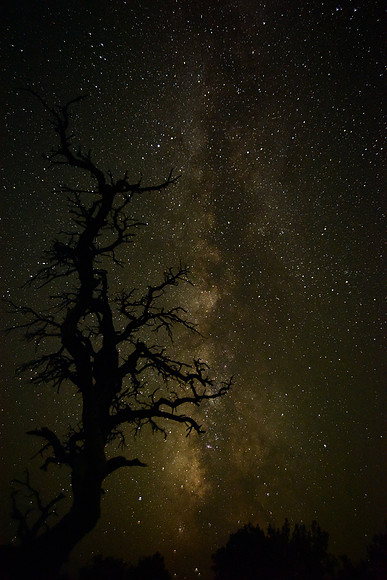 DSC_2641