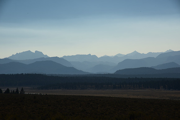 DSC_6041
