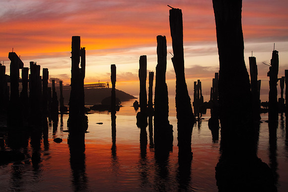 SunsetAtOregonDockRuins-SDIM2647