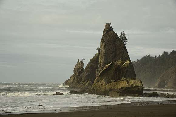 RialtoBeach-DSC_9126