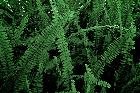 DSC01673-v5-6000