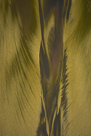 SandPatterns-DSC_9988