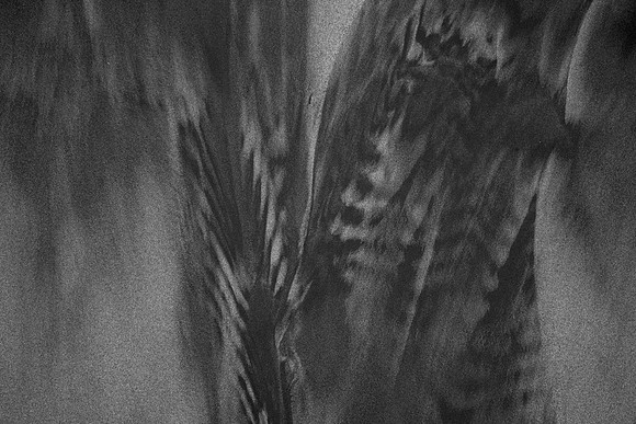 SandPatterns-DSC_9990-BW