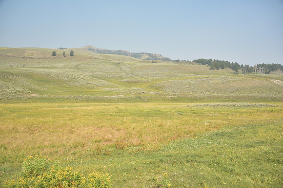 DSC_1241