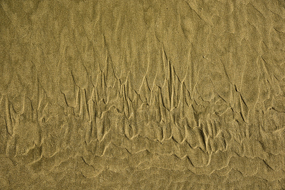 DSC_9655