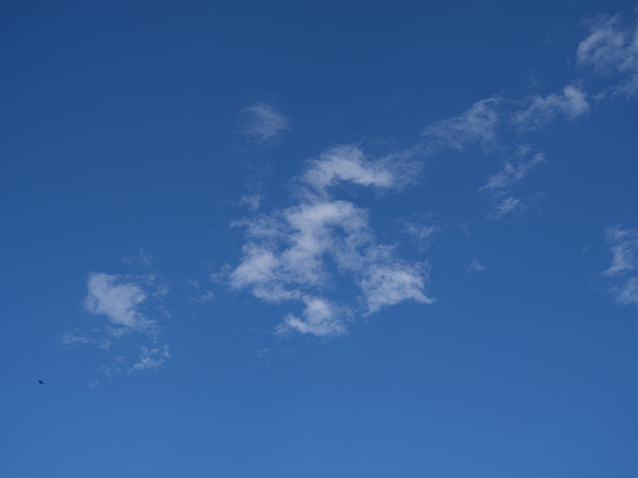 DSCF3799